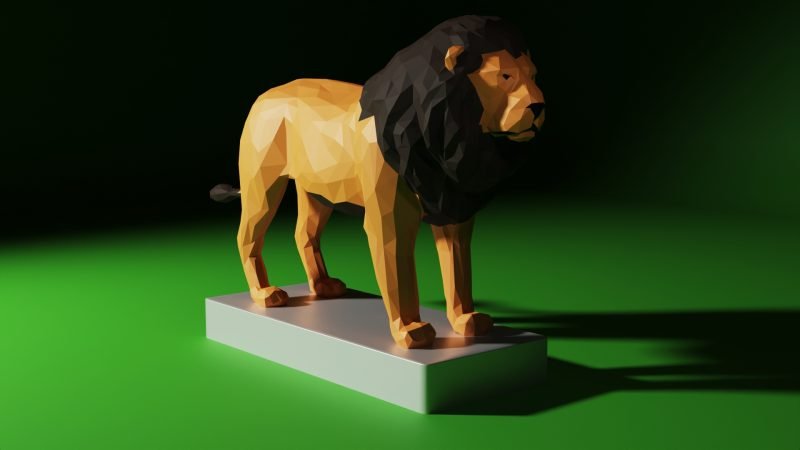 Loin