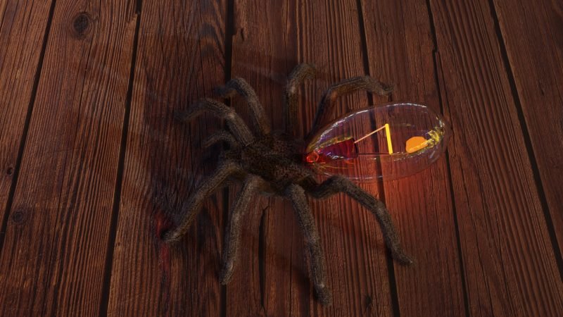 Spider Lamp
